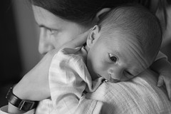 On Mother's Shoulder